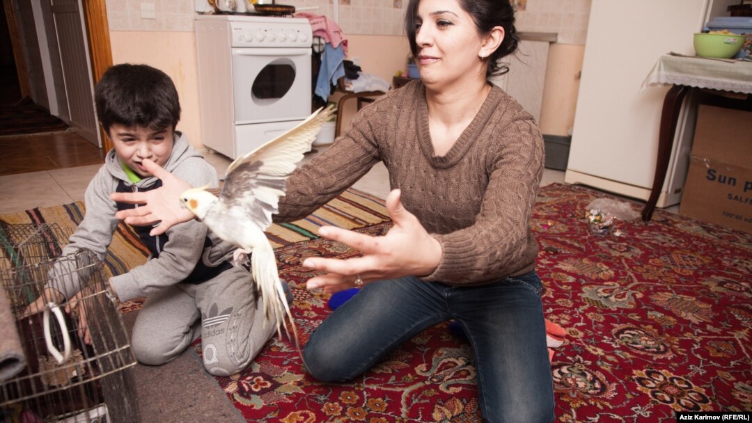 Әдемі қыздардың пирогтарының порно фотолары