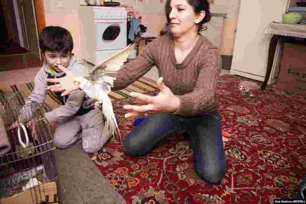 Roya Rafiyeva with her son letting their pet cockatiel fly.