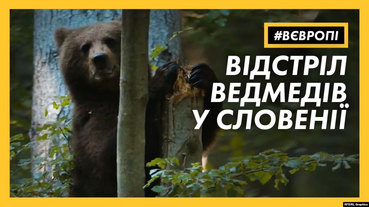 oi5.ru: Почему правительство Словении запретил отстрел диких зверей? | #ЕВРОВПЕ Почему правительство Словении запретил отстрел диких зверей? | #ЕВРОВПЕ