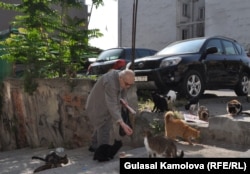 Житель Стамбула кормит бродячих кошек