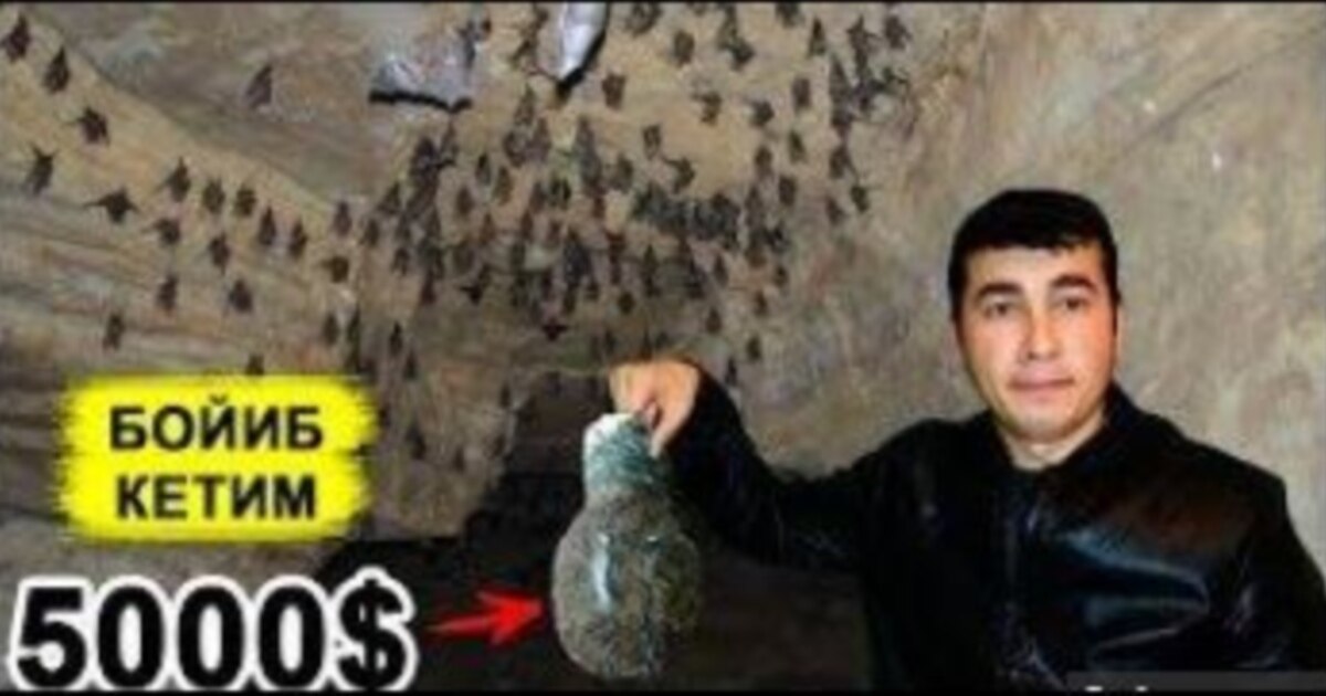 Yalangoch donuts ru Organ korsatish porno