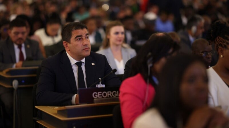 “ხმის ამოღება და არასამთავრობო ორგანიზაციების დაფინანსების მორალურობაში ეჭვის შეტანა ტაბუდ იქცა“, - პაპუაშვილი