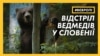 Чому уряд Словенії заборонив відстріл диких звірів? | #ВЄВРОПІ