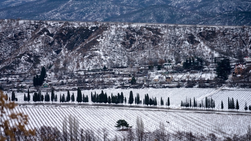 Кипарисы вдоль автодороги от Алушты до села Изобильное | Крымское фото дня
