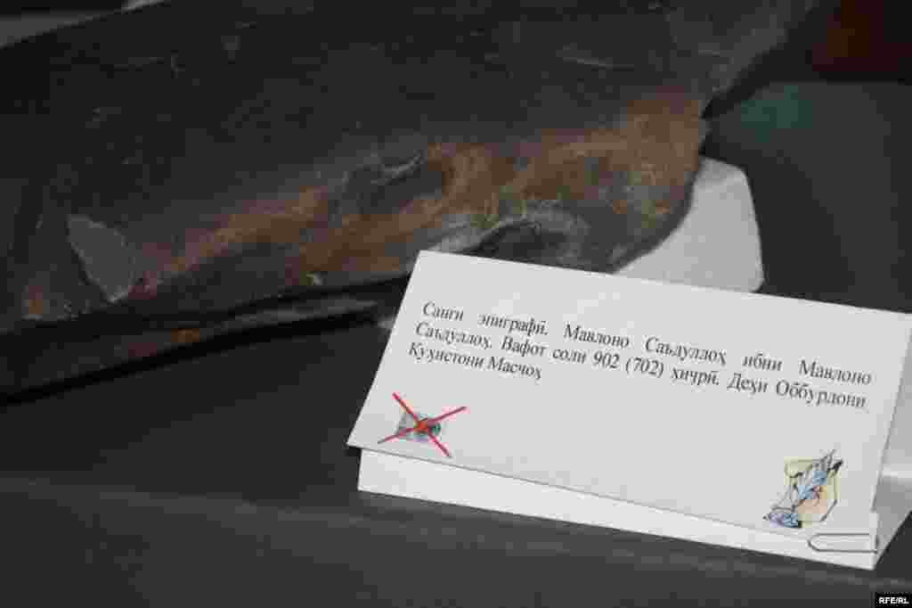 Сайре дар осорхонаҳои кишвар #44