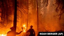 Nick Grinstead and Trevor While tűzoltók próbálják megfékezni a Creek Fire lángjait Fresno-tól nem túl messze.