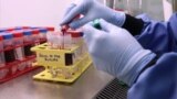 COVID-19, Laboratory testing. REUTERS. Video grab
