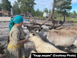 Супруга Анатолия Вандымова Людмила с оленями. Фото: Елизавета Анохина