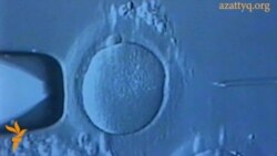 Адам ағзасынан тыс ұрықтандыру