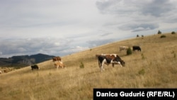 Za bolji život na selu potrebni su i bolji putevi i struja: Vule Pušica