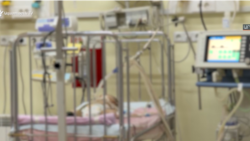 «Ոնց որ հարեմ լիներ». հարևանը՝ ծեծված Ալեքսի խորթ ընտանիքի մասին