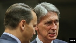 Глава МИД Польши Радослав Сикорский (слева) и министр иностранных дел Великобритании Филипп Хаммонд.