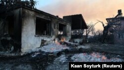 Внаслідок пожеж у курортних районах Туреччини вже постраждали 53 людини