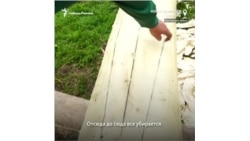 Новосибирские чатские татары сохранили уникальную технологию изготовления лодок-долбленок