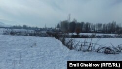 Кыш.