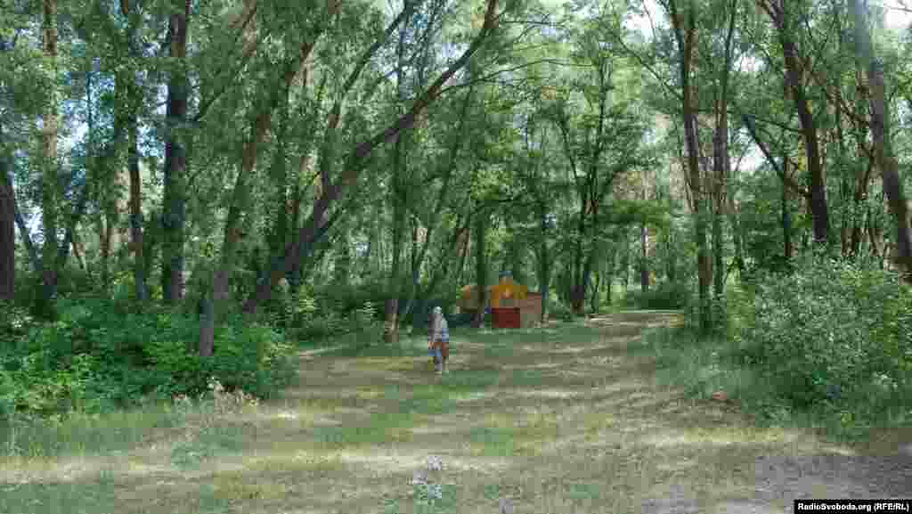 Між деревами гості міста зможуть припаркувати автівки (фото О. Овчинникова)