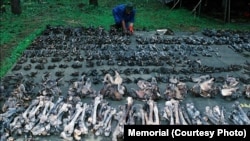 Фрагменты останков жертв массовых расстрелов, захороненных на полигоне Медное