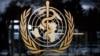 سخنگوی سازمان جهانی بهداشت می‌گوید این سازمان نمی‌داند چه کسی مسئول حملات هکری اخیر است.