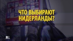 Выборы в Нидерландах 15 марта: почему это важно для всего мира?