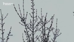 Ukrainian Drone Hunter Units Keep Busy In Donetsk Day And Night