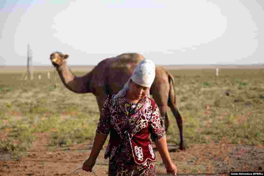 Доярка Айдана несет полные ведра верблюжьего молока.