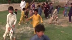 ЦIийнах-цIарах ваьлла лелачу пакистанхочунна кIезиг хета 36 бер хилар