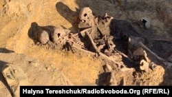 Знайдені людські останки в одній із ям, Дрогобич, 17 жовтня 2019 року