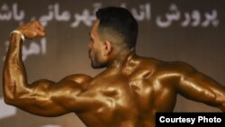 عکس تزئینی است