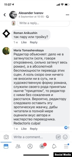 Мнение редактора Мариии Томашевской, высказанное на странице в фейсбуке Александра Иванова