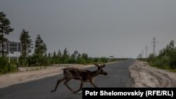 Ямало-Ненецкий автономиялық округі, Ресей (Көрнекі сурет).