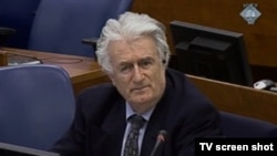 Radovan Karadžić na suđenju u Hagu