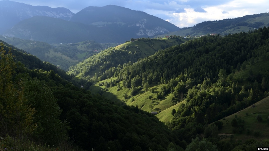 Dosarul a vizat retrocedarea a peste 43.000 de hectare de pădure în judeţul Bacău, în baza unor decizii ilegale ale unor judecători, cu implicarea unor parlamentari, pentru obţinerea ilegală a unor sume mari de bani.