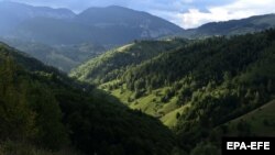 Dosarul a vizat retrocedarea a peste 43.000 de hectare de pădure în judeţul Bacău, în baza unor decizii ilegale ale unor judecători, cu implicarea unor parlamentari, pentru obţinerea ilegală a unor sume mari de bani.