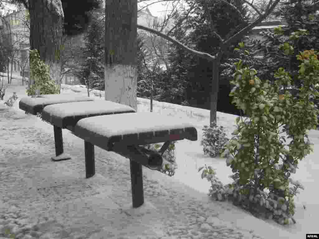 Bakının ilk qarı #16