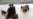 Tajik Law Opens Window For Young Afghan Drug Smugglers