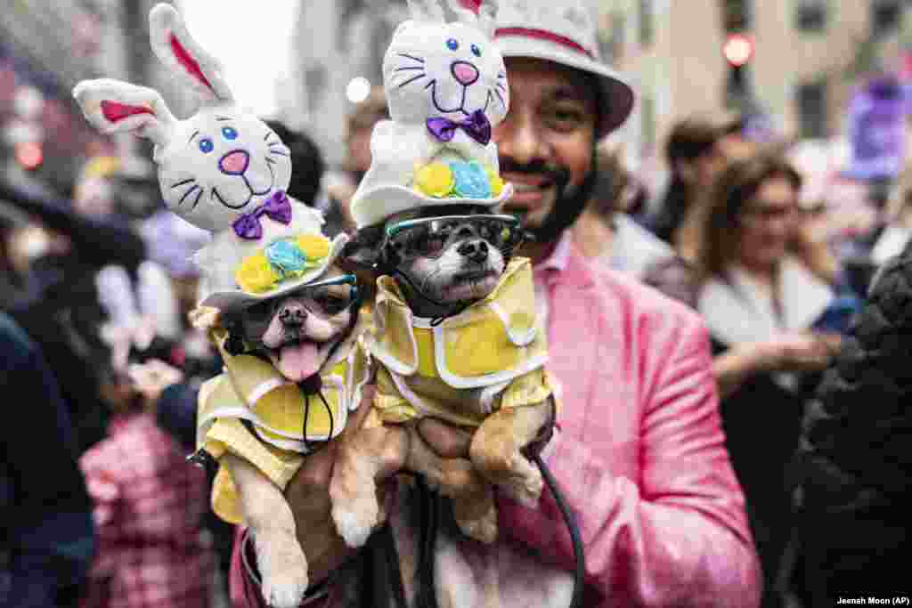 Dogs dressed in costumes participate in the Easter Parade and Bonnet Festival on April 21 in New York. (AP/Jeenah Moon)