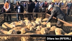 Овцы на рынке в селе Карабулак Туркестанской области Казахстана