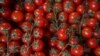 В Енергодарі Запорізької області російські окупаційні сили «націоналізували» господарство з виробництва огірків та томатів
