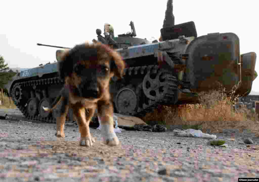 78 ნოდარ ცხვირაშვილი: უსათაურო