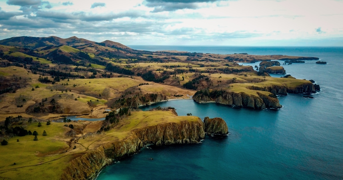 Қыздарға арналған ең сексуалды хош иіс