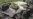Ingush Leader's Relative Dies Of Bomb Wounds
