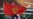 'Racist' Taunts At UEFA Qualifier Hand Montenegro A Double Loss