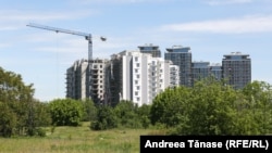 Imagine din Parcul Văcărești, București. Fotografie de arhivă.