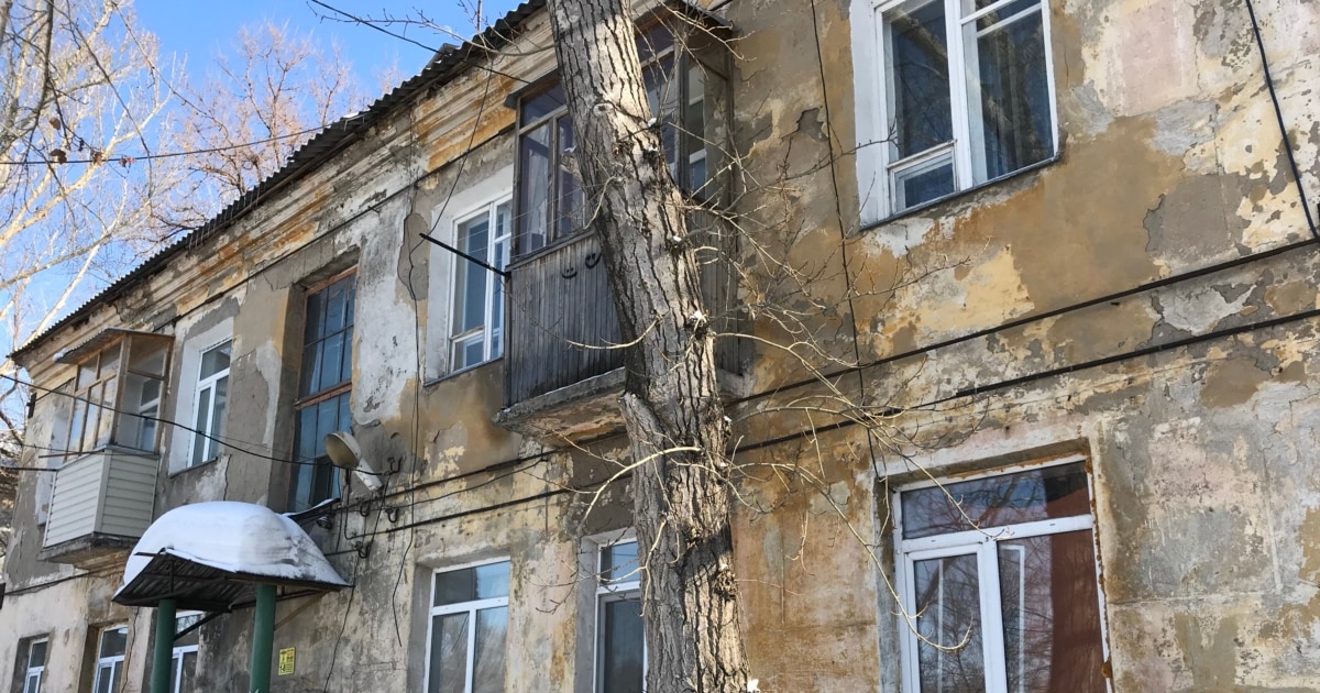 Желідегі секс порно видео