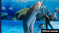 La un delfinarium la Chișinău