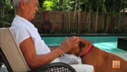 Ученые тестируют способ продления жизни собак