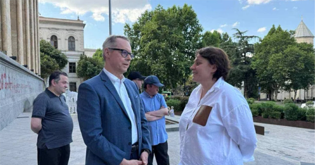 გერმანიის ელჩმა პარლამენტთან მოშიმშილეები მოინახულა