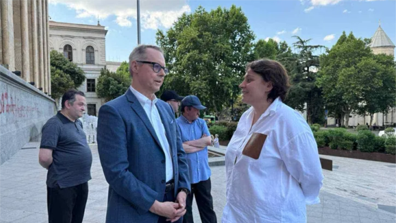 გერმანიის ელჩმა პარლამენტთან მოშიმშილეები მოინახულა