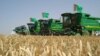 Heads Roll After Poor Turkmen Grain Yield