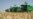 Heads Roll After Poor Turkmen Grain Yield